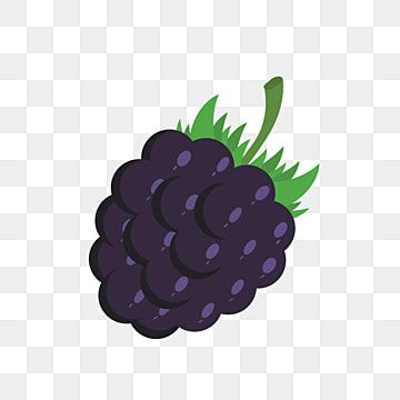 Blackberry Drawing, Berries Cartoon, Healthy Food Fruit, Blackberry Vodka, Blackberry Fruit, Snack Healthy, Cartoon Food, Food Vector, Milk Splash