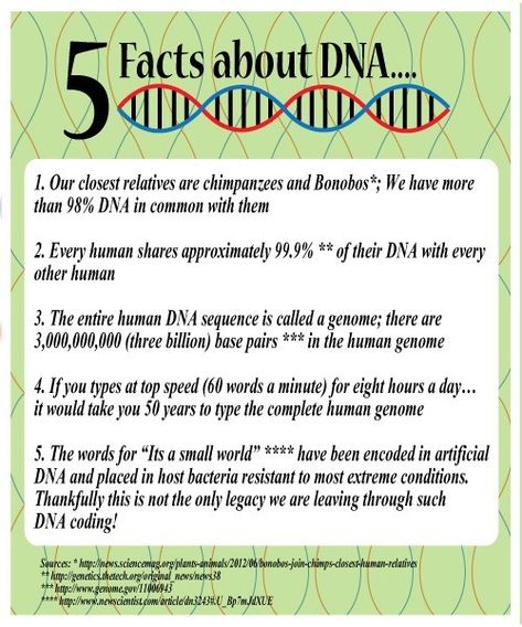 Fun Friday – Five Fantastic Facts about DNA and how to extract DNA from a banana Dna Activities, Dna Facts, Dna Fingerprinting, Dna Project, Meeting Ideas, Biology Classroom, Biology Facts, Dna Sequence, Human Dna