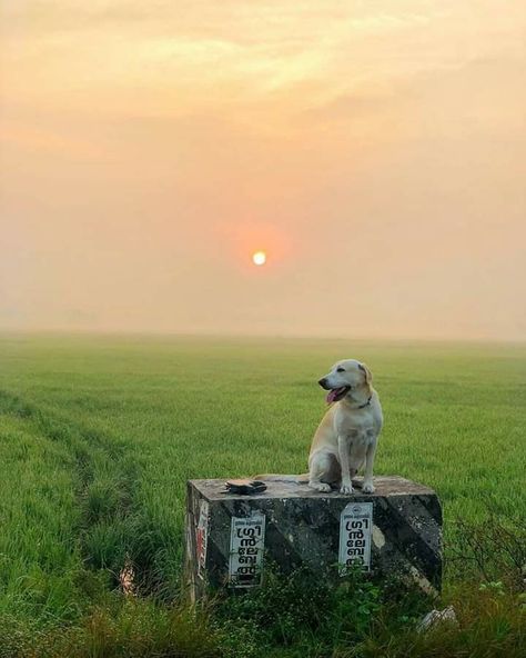 Palakkad, Kerala All Apple Products, Sky Photography Nature, Kerala Tourism, Munnar, Instagram Creative, Funny Animal Pictures, Sky Aesthetic, Sky Photography, Animal Photography