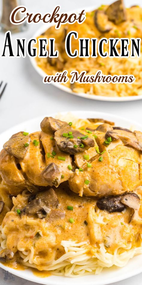 This Crockpot Angel Chicken with Mushrooms is the perfect dish for a busy weeknight! The chicken is tender and buttery and the mushroom sauce is packed with flavor. Another plus is that it takes only a few minutes to prep and is perfect for a weeknight dinner. I guarantee your family will love it! Golden Chicken Pasta Crockpot, Angel Chicken Crockpot Golden Mushroom, Chicken Golden Mushroom Soup Recipe, Crockpot Chicken And Mushrooms Recipes, Crock Pot Chicken Mushroom Recipes, Crockpot Mushroom Chicken Recipes, Chicken With Mushroom Soup Recipes, Slow Cooker Chicken And Mushroom Recipes, Golden Mushroom Soup Recipes Chicken