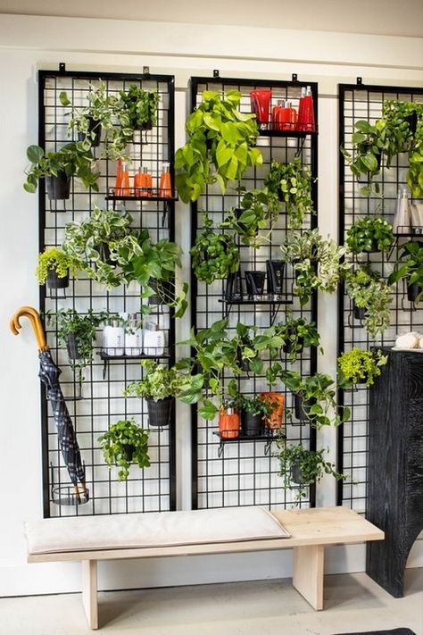 Plant wall decor