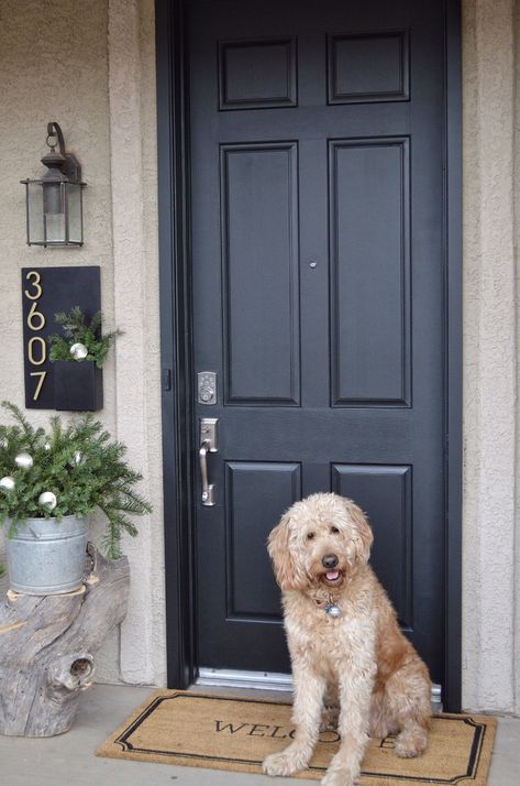 Navy Front Door And Shutters, Brick House Navy Door, Navy Blue Front Door Tan House, Coloured Front Door Brick House, Tan House Blue Door, Grey Blue Front Door, Statement Entryway, Dark Grey Front Door, Gray Front Door Colors