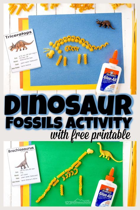 Make prehistoric dinosaurs come alive with this dinosaur fossils for kids activity! Toddler, preschool, pre-k, kindergarten, first grade and 2nd graders will have fun making fossils out of pasta using these free dinosaur fossil printables. Simply print pdf file with dinosaur printables and you are ready to play and learn about dinosaurs with this fossils for kids project. Kindergarten Fossil Activities, Noodle Dinosaur Craft, Dinosaur Water Activities, Dinosaur Activities First Grade, Dinosaur Learning Activities Elementary, Dinosaur Week Preschool Crafts, How Do Dinosaurs Go To School Craft, All About Dinosaurs, Learning About Dinosaurs