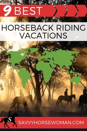 Horse Vacations, Horse Safari, Equestrian Tips, Horseback Riding Vacations, Montana Trip, Horseback Riding Tips, Horse Knowledge, Horse Care Tips, Horse Info