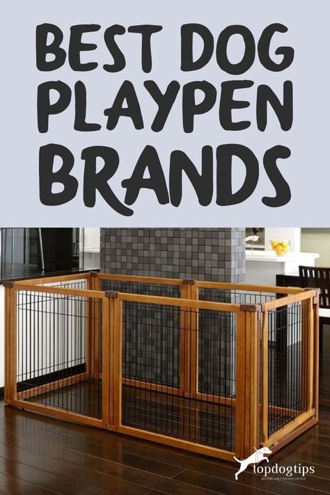 15 Best Playpens for Dogs (Updated) Dog Pen Indoor Ideas, Indoor Dog Area Spaces, Playpens For Dogs, Indoor Pet Area, Dog Play Pen Ideas, Small Dog Play Area Indoor, Puppy Playpen Ideas Indoor, Dog Indoor Play Area, Dog Playpen Indoor Ideas