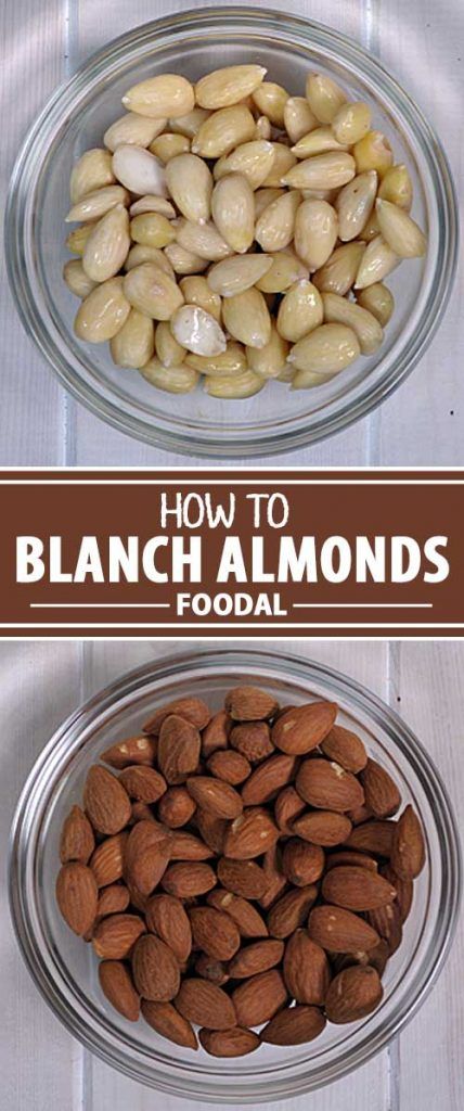 How to Blanch and Peel Almonds at Home | Foodal Nuts And Seeds Recipes, Roasted Almonds Recipe, Soaked Almonds, Recovery Food, Meatless Main Dishes, Nut Recipes, Lchf Recipes, Blanched Almonds, Cooked Breakfast