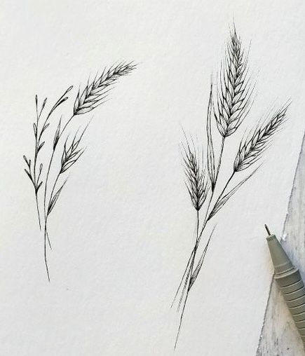 Wheat And Poppy Tattoo, Tiny Wheat Tattoo, Wheat And Wildflower Tattoo, Hay Tattoo Ideas, Wheat And Flower Tattoo, Masculine Tattoo Designs, Reed Tattoo Design, Masculine Fine Line Tattoo, Gluten Tattoo