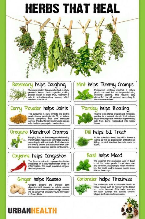 Herbs That Heal Poster Herbs Health Benefits, Herbs That Heal, Healing Herbs Medicine, Herbs To Burn, Herb Properties, Medicinal Herbs Remedies, Herbal Benefits, Herbal Garden, Herbal Remedies Recipes