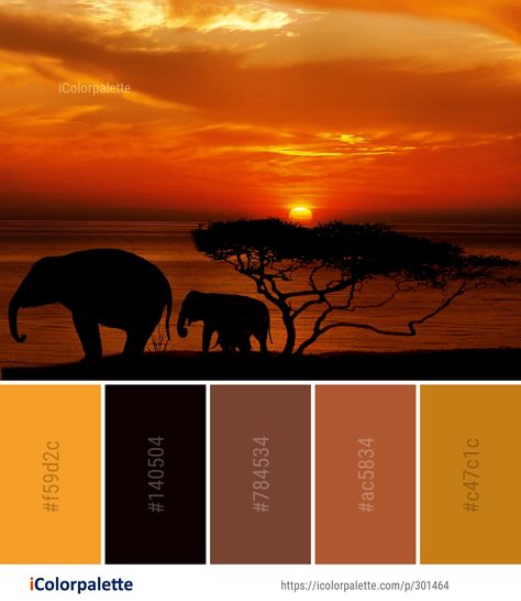 Color Palette ideas from 1478 Sunrise Images | iColorpalette African Sunset Colour Palette, African Colour Palette Color Inspiration, Colors Of Africa, African Wedding Color Schemes, Africa Colour Palette, Sunrise Color Palette Wedding, Safari Colour Palette, Ancient Color Palette, African Color Palette Colour Schemes