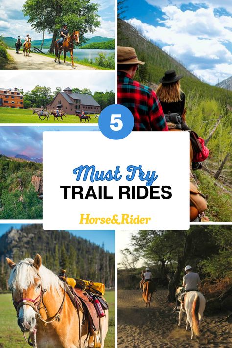 If you like to combine your passion for horses and traveling, we have 5 trail rides you need to try. From sandy beaches, to mountain scenes - these rides are a bucket list adventure. Bucket List Adventure, Horseback Riding Trails, Mountain Scenes, Adventure Bucket List, Mountain Scene, Trail Riding, Horse Rider, Sandy Beaches, The Horse