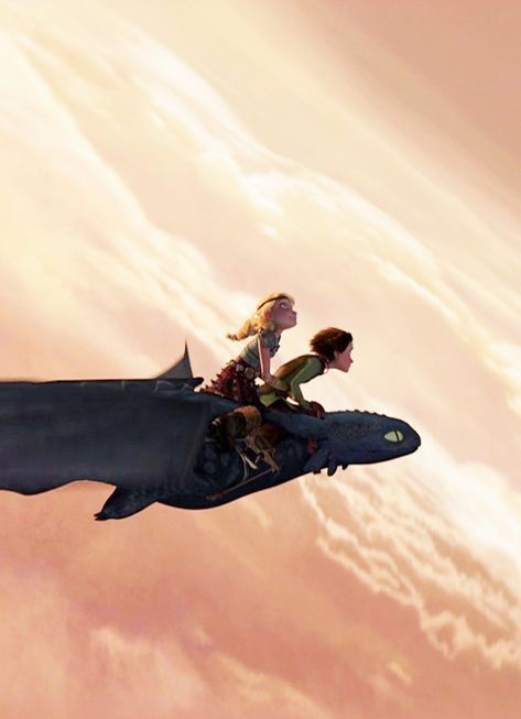 Hicks Und Astrid, Follow The Light, Astrid Hiccup, Dragon Black, Hiccup And Toothless, Hiccup And Astrid, Dreamworks Movies, Dreamworks Dragons, Httyd Dragons