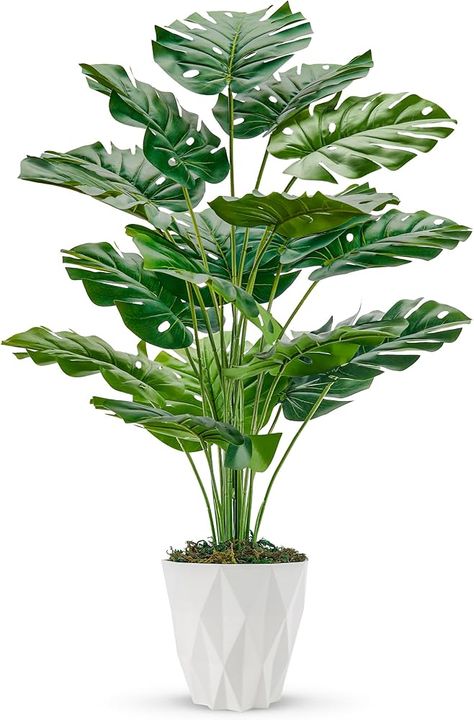 Amazon.com: Der Rose 2 Packs 28" Fake Plants Large Artificial Monstera Faux Plants Indoor with White and Black Pots for Home Office Living Room Decor : Home & Kitchen Large Fake Plants, Artificial Plants Indoor, Fake Plants Decor, White Pot, Home Office Living Room, Plants Indoor, Artificial Trees, Planting Roses, Fake Plants