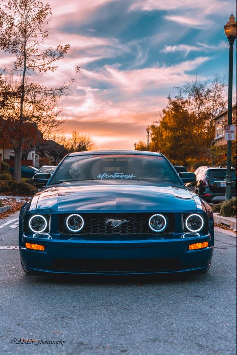 2005 mustang gt with a beautiful susnet and blue sky 2005 Mustang Gt, S197 Mustang, 2022 Ford Mustang, 2005 Mustang, Ford Mustang Wallpaper, Mustang 2005, Blue Mustang, 2005 Ford Mustang, Mustang Wallpaper