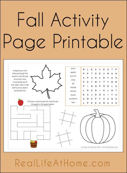 Free Fall Activity Page Printable | RealLifeAtHome.com Wednesday Meals, November Gratitude, Fall Word Search, Free Family Printables, Teacher Printables, Fall Science, Homeschool Holidays, Teaching Portfolio, September Activities