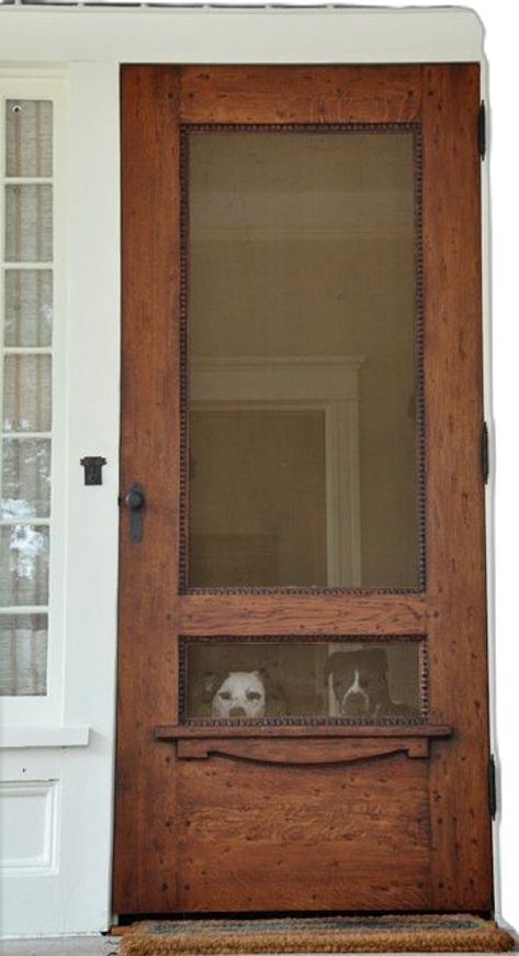 Front Door With Screen, Vintage Screen Doors, Old Screen Doors, Wood Screen Door, Wooden Screen Door, Diy Screen Door, Harness Dog, Door Crafts, Farmhouse Front Door