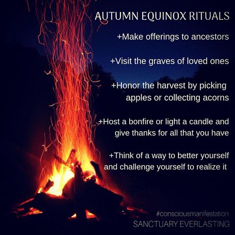 Learn about Autumn equinox rituals and how to celebrate the pagan rites of Mabon. Try a simple meditation to connect with this powerful, seasonal energy. Autumnal Equinox Celebration, Autumn Equinox Ritual, Simple Meditation, Wiccan Sabbats, Solstice And Equinox, Pagan Festivals, Autumn Witch, Autumnal Equinox, Pagan Rituals