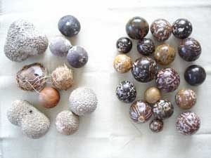 Bean Ideas, Seaside Crafts, Coastal Tree, Bean Jewelry, Natural Crafts, Sea Beans, Destination Unknown, Rock Tumbler, Rocks And Fossils