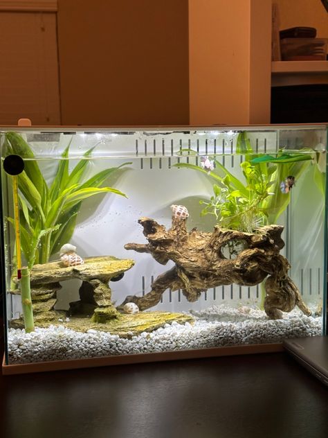 Fish Tank Ideas Natural, White Gravel Fish Tank, Crystal Aquarium, White Fish Tank, Aesthetic Fish Tank, Fish Tank Aesthetic, Beta Tank, Cool Fish Tank Decorations, Hermit Crab Tank