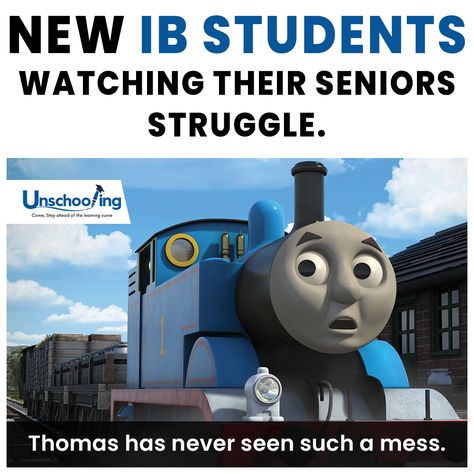 Ib Memes Funny, Ib Students Aesthetic, Ib Students, Exam Memes, School Thoughts, Exams Memes, Mental Health Humor, Health Humor, Teachers Classroom