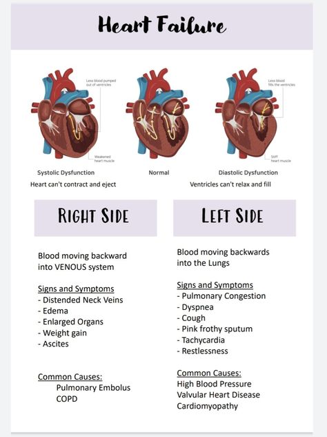 Emt Study, Nursing Study Tips, Paramedic School, Nursing School Essential, Medical School Life, Nursing School Motivation, Nurse Study Notes, Nursing Student Tips, Medical Student Study