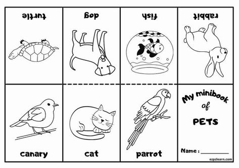 Free Printable Mini Coloring Book With Vocabulary Pets Party For Kids ESL Resource Ocean Animals Preschool, Mini Coloring Book, Ingles Kids, Book Coloring Pages, Fathers Day Coloring Page, House Pets, Animal Worksheets, Learning English For Kids, Printables Free Kids