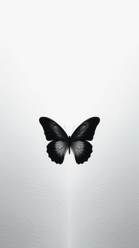 Butterfly animal insect flying. | premium image by rawpixel.com / juju. White And Black Background Aesthetic, Butterfly Wallpaper Black And White, Butterfly With Black Background, Wallpaper Black Butterfly, Butterfly Wallpaper Black, Minimalistic Iphone Wallpaper, Butterfly White Background, Black Aesthetic Background, Black Butterfly Wallpaper