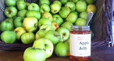 Headline Crab Apple or Bramley Apple Jelly Crabapple Jelly Recipe, Crab Apple Jelly, Green Crab, Bramley Apple, Apple Jelly, Apple Jam, Jelly Recipes, Crab Apple, Jams & Jellies