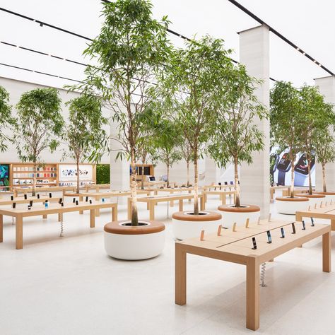 Apple's central London store has reopened following a major renovation by Foster + Partners that shows the tech giant's new approach to retail. Apple Store Interior, Apple Store Design, 블로그 디자인, Indoor Tree, Foster Partners, Regent Street, Store Interiors, Apple White, Mac Pc