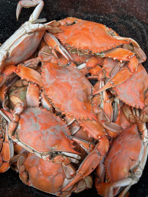 Join us for a Crab Feast on the Eastern Shore of Maryland! We have plenty of tips and tricks for you to explore. Discover the essential tools required, the best dishes to serve, and learn how to set the ideal ambiance for unwinding, enjoying a cold beer, and savoring delicious crabs. #eastonmd #easternshore #crabfeast #watermen #howtohost Crab Feast, Summer Workout Outfits, Eastern Shore Maryland, Crab Recipes, Easy Parties, Old Bay, Easy Entertaining, Eastern Shore, Essential Tools