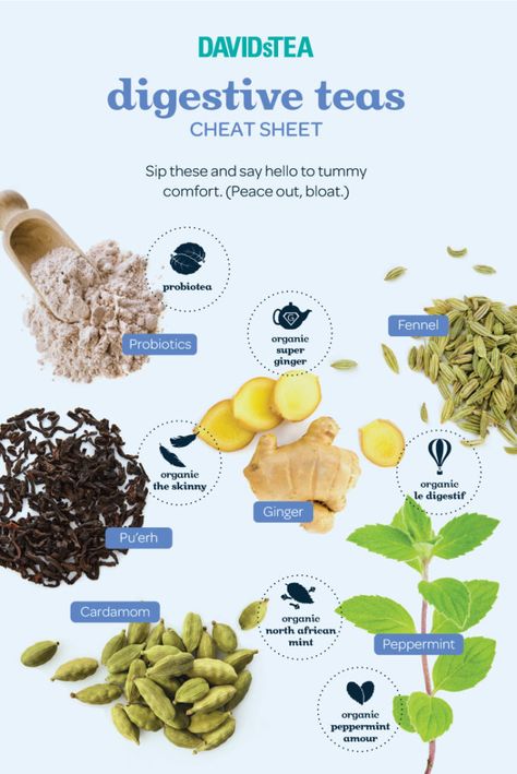 Tea Blends Recipes, Tea For Digestion, Herbal Tea Benefits, Tea Remedies, Davids Tea, Herbal Teas Recipes, Tea Health Benefits, Tea Cocktails, Tea Diy