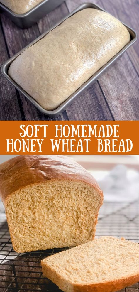 bread in a pan and bread on a rack Best Honey Wheat Bread Recipe, Homemade Honey Wheat Bread, Honey Wheat Bread, Honey Bread, Wheat Bread Recipe, Bread Maker Recipes, Homemade Bread Recipes Easy, Homemade Bread Easy, Honey Wheat