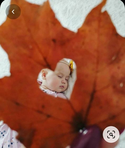 Fall Baby Photos, Fall Baby Pictures, Photo Halloween, Baby Milestones Pictures, Monthly Baby Pictures, Baby Milestone Photos, Monthly Baby Photos, Baby Photoshoot Boy, Newborn Baby Photoshoot