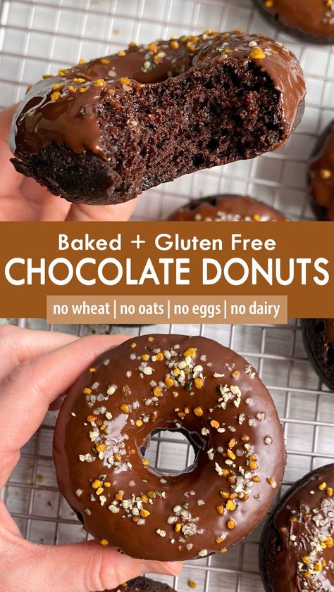 These baked chocolate donuts are soft and tender and topped with a dark chocolate glaze. They're made with grain free flour (gluten free), lightly sweetened with maple syrup and allergy friendly (no nuts, no eggs, no dairy) - a healthy donut recipe that can be enjoyed for brunch or dessert. Egg And Flour Free Desserts, Dairy Gluten Nut Free Recipes, Celiac Baking Recipes, Gluten Free Chocolate Donuts Baked, Nut Free Baked Goods, Nut Free Egg Free Dessert, Gluten Nut Dairy Free Recipes, Coconut Dairy Free Dessert, Rice Flour Donut Recipe