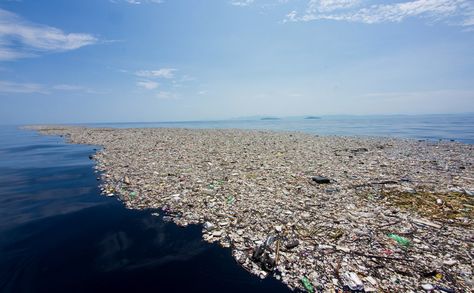 One of the consequences of all of the waste we produce is the trash floating throughout the oceans. This trash damages the natural ecosystem of the oceans and it is irresponsible of us to allow this destruction to go on. Great Pacific Garbage Patch, Water Facts, Marine Debris, Water Scarcity, Ocean Pollution, Contaminated Water, Water Pictures, La Pollution, Trash Art