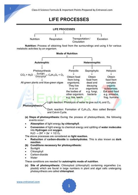 Mathematics Tricks, Science Formulas, Medical Terminology Study, Learn Biology, Notes Life, Biology Worksheet, Short Notes, Chemistry Worksheets, Study Biology