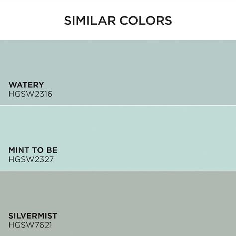 Sherwin Williams Tidewater, Perfect Paint Color, Office Makeover, Paint Primer, Sherwin Williams, Exterior Paint, Paint Colors, House Ideas, New Homes