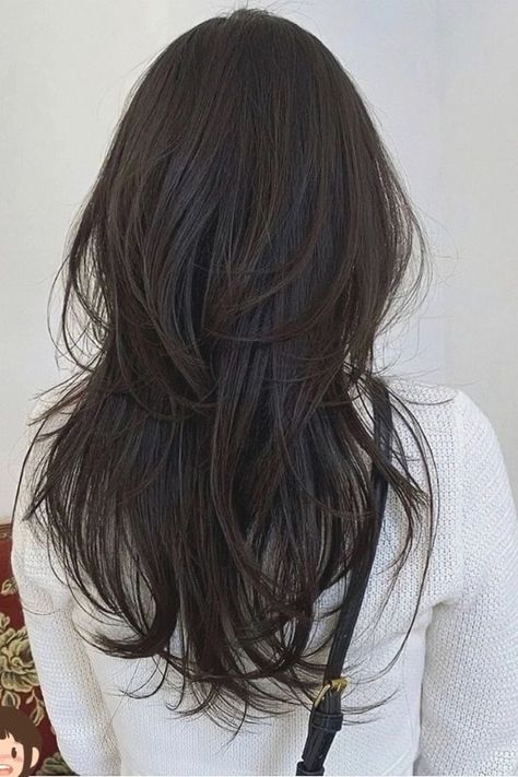 Long Hair With Layered Ends, Long Asian Wolfcut, Long V Cut Hair With Layers, V Haircut For Medium Hair With Layers, Asian Hair Layers, V Layered Haircut, V Cut Hair With Layers, Layered Hair Asian, Asian Long Hair Cuts With Layers