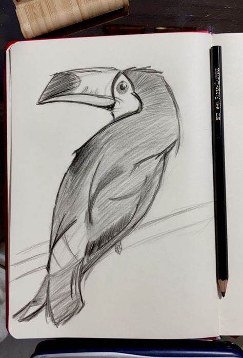 A quick sketch for a toucan that I'm proud of and also It's been a while since last time I have drwan Tropical Animals Drawing, Tucan Drawings, Toucan Sketch, Toucans Drawing, Toucan Drawing, Toucan Art, Animal Drawings Sketches, Quick Sketch, Bird Drawings