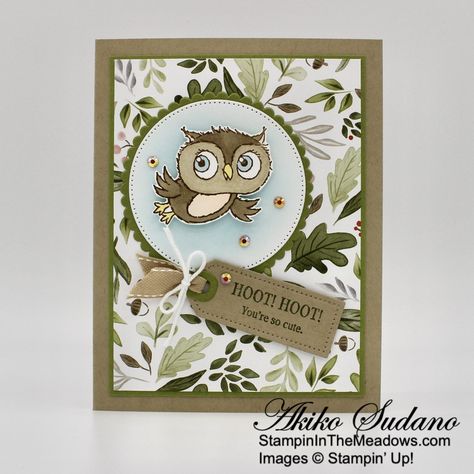 Stampinup Owl Cards, Stamping Up Adorable Owls, Su Adorable Owls Cards, Stampin Up Owl Cards, Adorable Owls Cards, Adorable Owls Stampin Up Cards, Stampin Up Adorable Owls, Stampin Up 2023, Owl Punch Cards