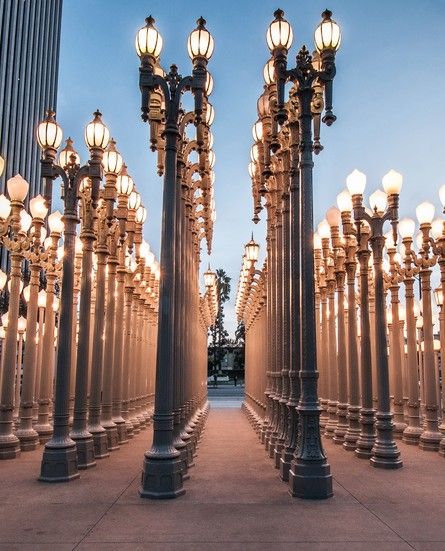 Urban Lights Sculpture by Chris Burden @ LACMA Los Angeles Trip, Urban Light, Los Angeles Travel, Urban Lighting, Street Lights, Light Sculpture, City Of Angels, California Love, California Dreamin'