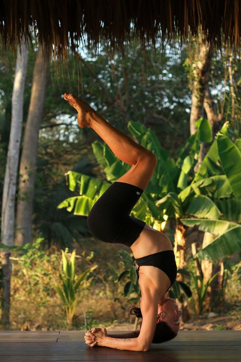 Unleash your inner strength and embark on a Forearm Stand adventure! In this post, I'll explore the unique demands of Pincha Mayurasana and how it can boost your practice. Enhance your shoulder stability, embrace the learning process, and get a sneak peek of my Practice Your Pincha series. Don't miss the chance to up-level your inversions! #ForearmStandTips #YogaMastery #PinchaMayurasanaJourney Yoga Pincha, Backbend Yoga Poses, Backbend Yoga, Dolphin Pose, All Yoga Poses, Yoga Backbend, Forearm Stand, Puppy Pose, Yoga Poses Advanced