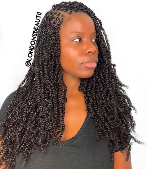 Twists With Added Hair, Small Spring Twist, 4c Fro, Cornrows Natural, Black Hair Protective Styles, Mini Twists Natural Hair, Cornrows Natural Hair, Twists Braids, Black Hair Video