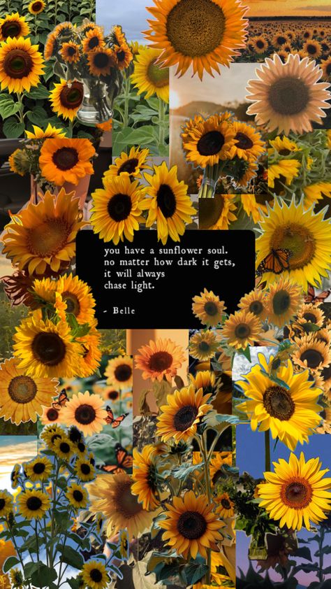 Sunflower Collage, Sunflower Quotes, Sunflower Pictures, Pretty Aesthetic, Arte Van Gogh, Pretty Phone Wallpaper, Sunflower Wallpaper, Iphone Wallpaper Photos, Pretty Wallpaper Iphone