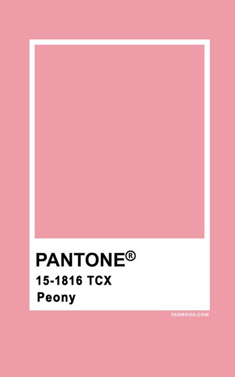 Pantone Peony 15-1816 Wedding Colours, Wedding Theme colour palettes #color #pantone Peony Pink Color Palette, Pink Color Palette Pantone, Pantone Peony, Peony Color Palette, Pink Palette Color, Peony Pink Color, Flamingo Pink Color, Wedding Colour Palettes, Pink Pantone