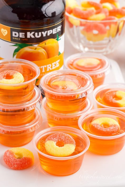 Gameday Jello Shots, Peach Ring Jello Shots, Jell-o Shots With Malibu Rum, Hello Shots Recipes, Peach Schnapps Jello Shots, Jello Shots With Malibu Rum, Jello Shots Tequila, Jell-o Shots, Jello Shooters Recipe