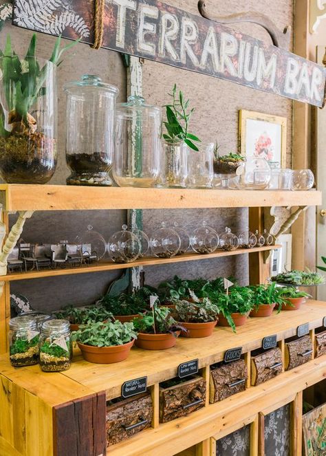 Terrarium Bar, Terrarium Design, Garden Center Displays, Flower Shop Interiors, Flower Shop Design, Greenhouse Ideas, Deco Nature, Terrarium Decor, Florist Shop