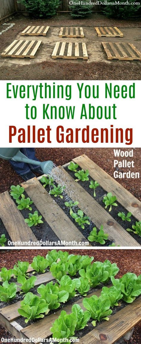 Garden Diy Decoration Ideas, Diy Garden Landscaping, Pallet Gardening, Pallet Garden, Pallets Garden, Home Vegetable Garden, Vegetable Garden Design, Back Gardens, Pallet Ideas