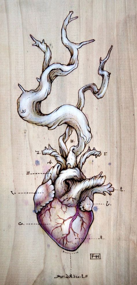 Driftwood Heart, Herz Tattoo, Kunst Tattoos, Desenho Tattoo, Human Heart, Art And Illustration, Anatomy Art, Heart Art, Heart Tattoo