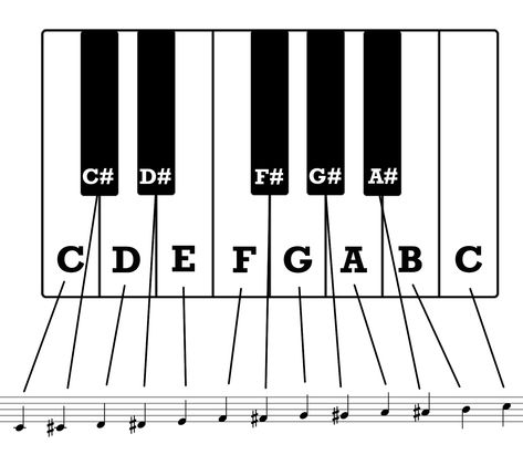 Chromatic Scale, Diatonic Scale, Sight Singing, Solfege, Major Scale, Master Of Puppets, Western Music, Piano Keys, The Black Keys