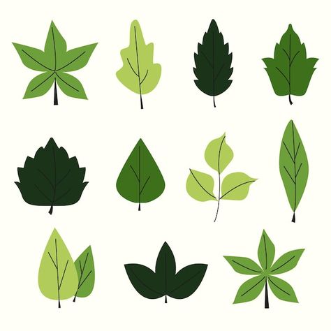 Leaf Character, Pictures Of Leaves, Cartoon Leaf, Leaf Graphic, Doddle Art, Leaf Vector, Cute Blue Wallpaper, Leaf Clipart, Leaves Illustration